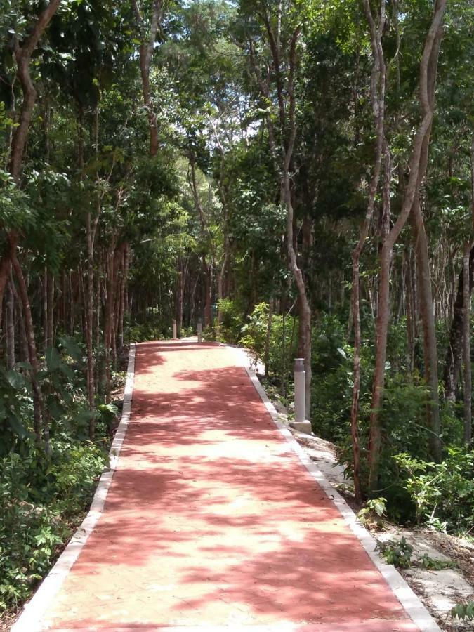 Playa Del Carmen Apartment ภายนอก รูปภาพ